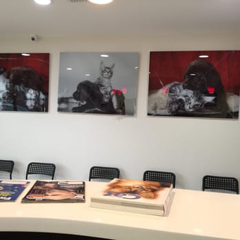 Aardvark Animal Clinic - Waiting area art - Veterinarians Near Me - Hialeah, Florida Aardvark Animal Clinic - Waiting area art - Veterinarians Near Me - Hialeah, Florida