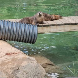 Alexandria Zoological Park