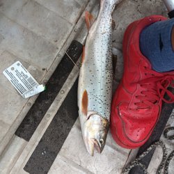 Price's Academy of Security Guard Training - California this is what a trout looks like