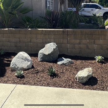 Standard Design Group Nurseries - AFTER - Side yard cleaned up. Weed barrier, 5 rocks and 7 plants. Water once a week - Landscape Architects or Designers Near Me - San Juan Capistrano, California Standard Design Group Nurseries - AFTER - Side yard cleaned up. Weed barrier, 5 rocks and 7 plants. Water once a week - Landscape Architects or Designers Near Me - San Juan Capistrano, California