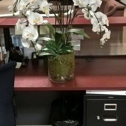 Beautiful white orchid arrangement made from 6 stems and 4 green leaves.  Thank you lady at Gold State Silk Flowers!!