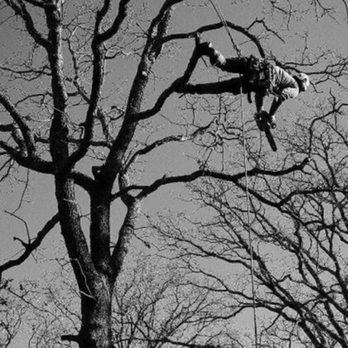 G2G Tree Service - Tree Services Near Me - Circleville, Ohio G2G Tree Service - Tree Services Near Me - Circleville, Ohio