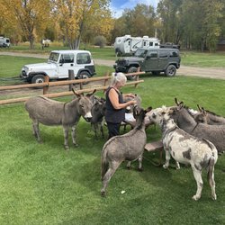 Gunnison KOA