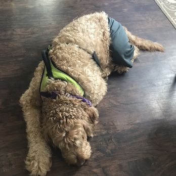 PetFix Northeast Ohio - Veterinarians Near Me - Euclid, Ohio