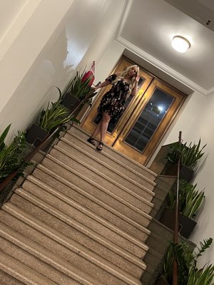 The Darling Hotel by null The Darling Hotel by null