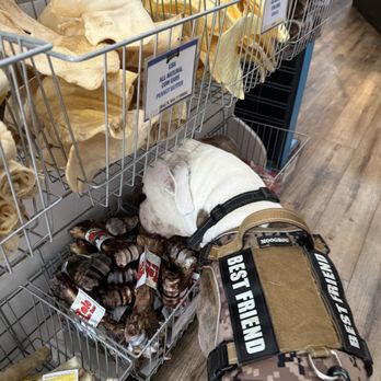 Three Dog Bakery - Pet Stores Near Me - Indianapolis, Indiana Three Dog Bakery - Pet Stores Near Me - Indianapolis, Indiana