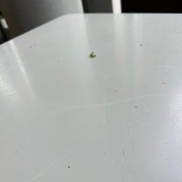 Dirty tables Dirty tables
