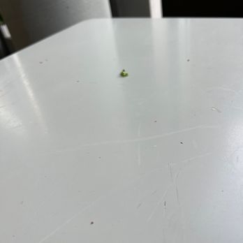 sweetgreen - Healthy Salads, Wraps, and Bowls - Dirty tables - Salad Near Me - New York, New York sweetgreen - Healthy Salads, Wraps, and Bowls - Dirty tables - Salad Near Me - New York, New York