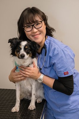 West Village Veterinary Hospital by null