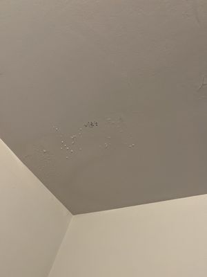 Starlite Motel by null