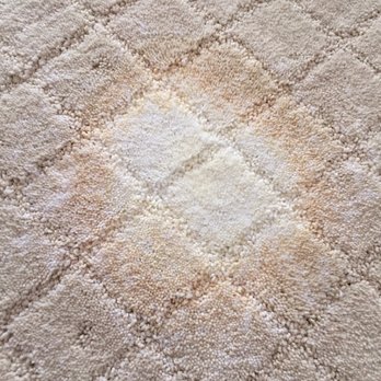 Carpetologist Carpet Repair - A big bleach stain. - Home Services Near Me Carpetologist Carpet Repair - A big bleach stain. - Home Services Near Me
