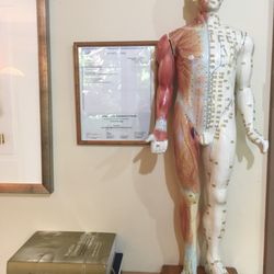 Acupuncture Guy!
