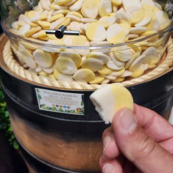 Yummy Jungle Candy Shop - PINEAPPLE - Candy Stores Near Me - Sunrise, Florida Yummy Jungle Candy Shop - PINEAPPLE - Candy Stores Near Me - Sunrise, Florida