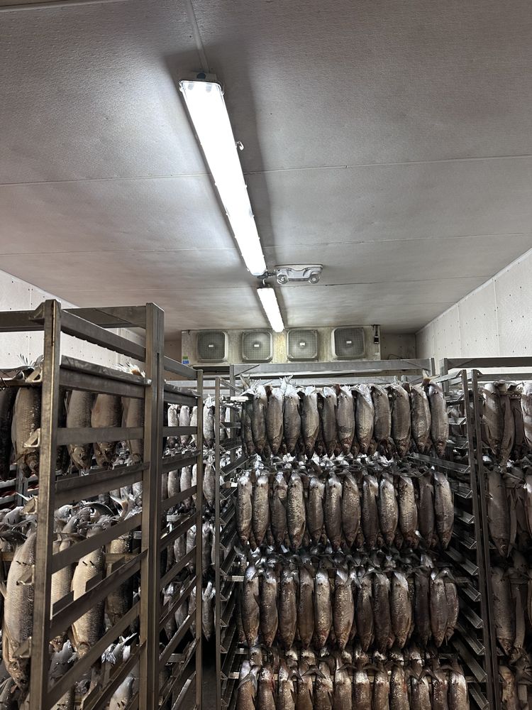 Slide of Irwin Friedman & Son