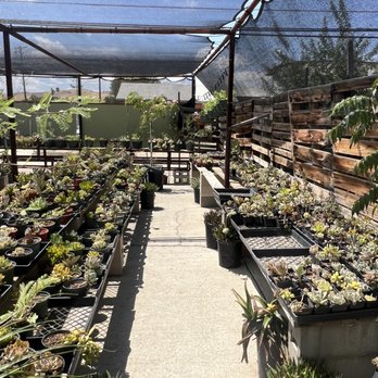 Fertile Earth Nursery - one part of succulent areas - Nurseries & Gardening Near Me - Taft, California