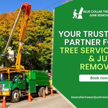 Blue Collar Tree Service - 1_Blue Collar Tree & Junk Removal_Your Trusted Partner for Tree Services & Junk Removal.jpg - Tree Services Near Me Blue Collar Tree Service - 1_Blue Collar Tree & Junk Removal_Your Trusted Partner for Tree Services & Junk Removal.jpg - Tree Services Near Me