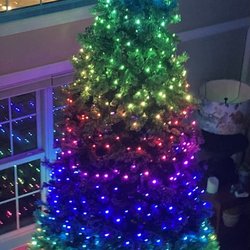 Esbenshade's Garden Centers - Twinkly lights