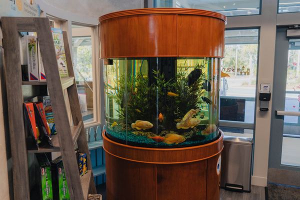 The Sandbox Children's Museum by null