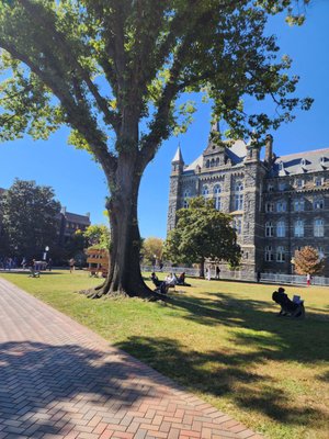 Georgetown University by null