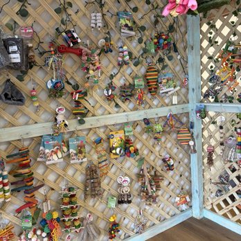 Bird Boutique - Toys - Pet Boarding Near Me - Ormond Beach, Florida