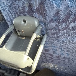 Go Buses - There's mold in the cup holder