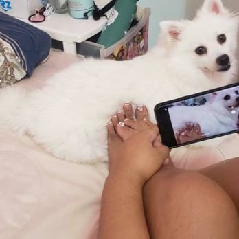 Garden Nails - Nail photoshoot with my dog - Nail Salons Near Me - Kapolei, Hawaii