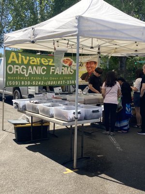 Redmond Saturday Market by null