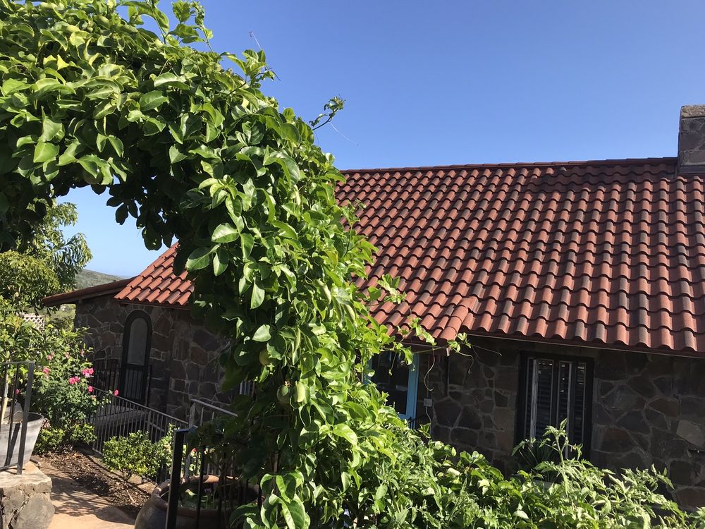 Slide of Art The Roofer