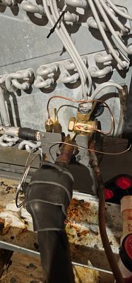 Mid-Atlantic Home And Land Management