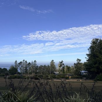 Seafoam Lodge - View from room - Hotels Near Me - Little River, California