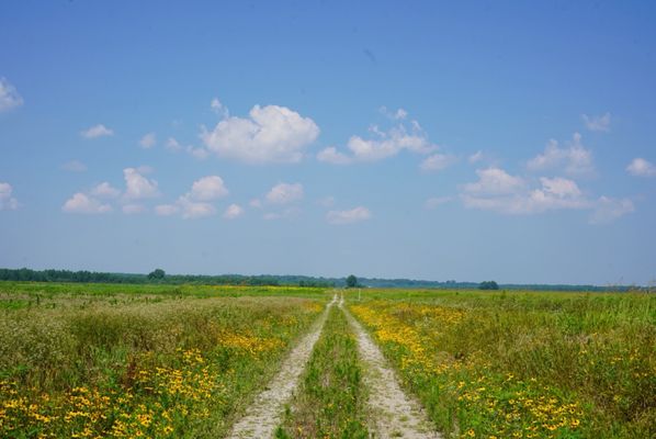 Columbia Bottom Conservation Area by null