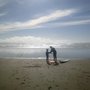 Photo of saunton sands beach