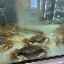 on site fresh crab
