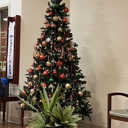 Baycare Imaging - Decorated waiting area