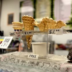 Seattle Best Tea - Cones