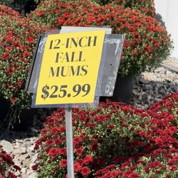 R Jones Nursery & Landscape Center