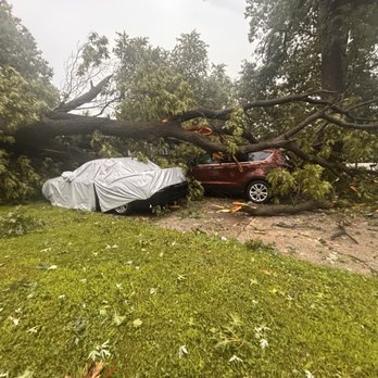 TreeJob - Tree Services Near Me - Marietta, Georgia TreeJob - Tree Services Near Me - Marietta, Georgia