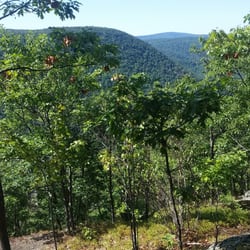 Mohawk Trail State Forest