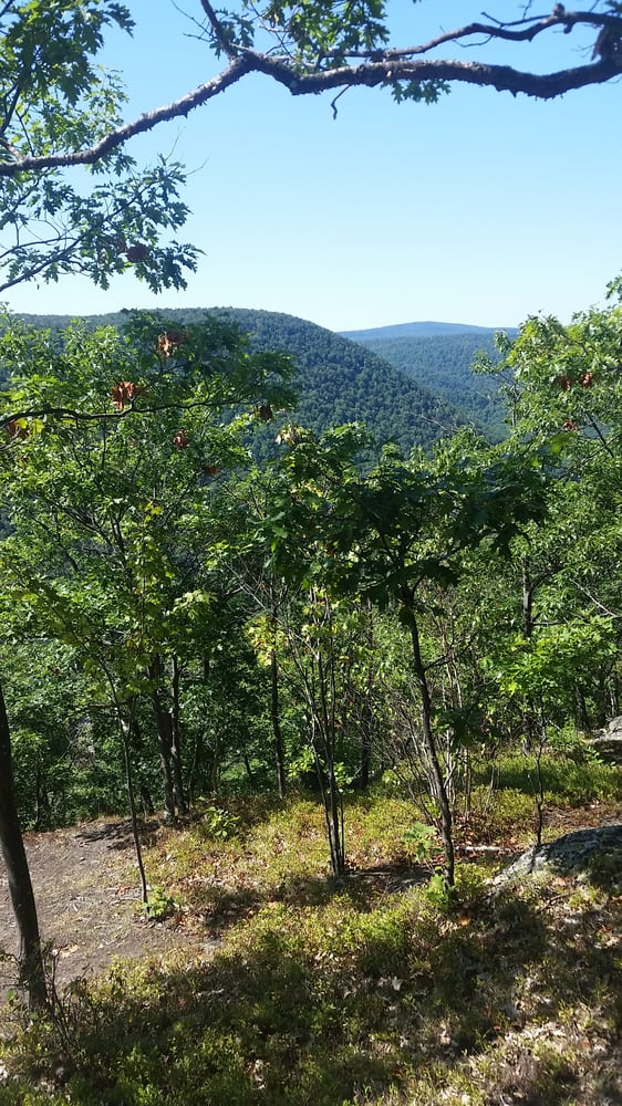 MOHAWK TRAIL STATE FOREST Updated July 2024 Cold River Rd