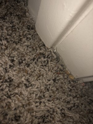 The Avenue Apartments