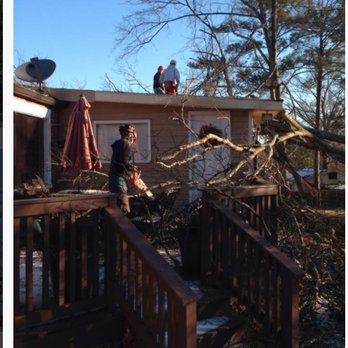 Porterfield Tree - Tree Services Near Me - Lawrenceville, Georgia Porterfield Tree - Tree Services Near Me - Lawrenceville, Georgia