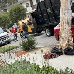 Economy Tree - The guy in the green is the one yelling and cursing me out