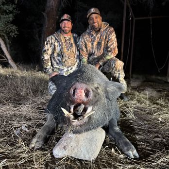 Oak Ridge Outfitters - Gun/Rifle Ranges Near Me Oak Ridge Outfitters - Gun/Rifle Ranges Near Me