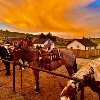 Tattered Saddle - Horseback Riding Near Me - Livermore, Colorado Tattered Saddle - Horseback Riding Near Me - Livermore, Colorado