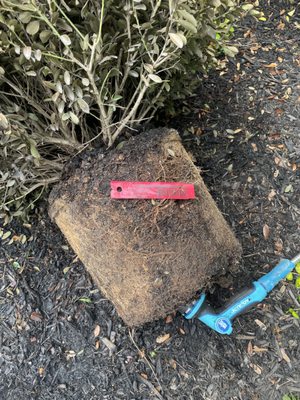 Merrifield Garden Center by null