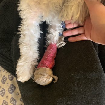 Petco - His cast - Pet Stores Near Me - Englewood, Colorado Petco - His cast - Pet Stores Near Me - Englewood, Colorado