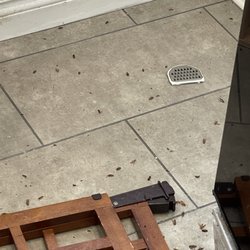 Wonder Pest Control
