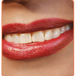 Joseph Coccellato, DDS