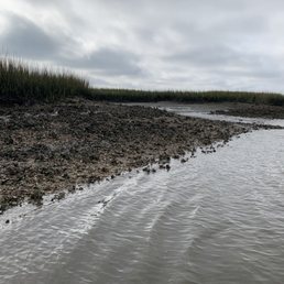 Oyster beds along Crooked River - major die off and barely a few babies alive