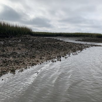 Crooked River State Park - Oyster beds along Crooked River - major die off and barely a few babies alive - Parks Near Me - Saint Marys, Georgia